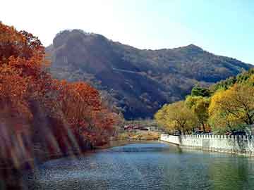 新澳天天开奖资料大全旅游团，泛站目录